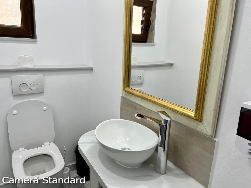 Casa Eden - Apartamente Langa Lac Colibiţa Buitenkant foto