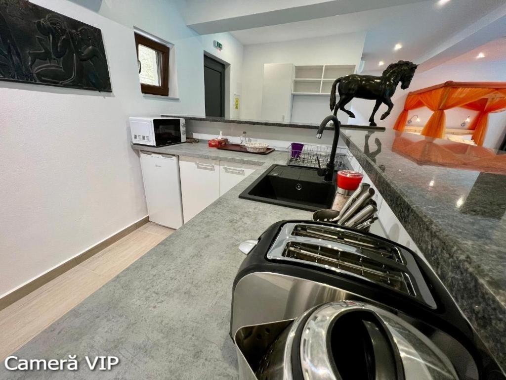 Casa Eden - Apartamente Langa Lac Colibiţa Buitenkant foto